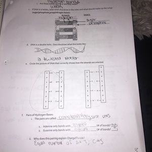 Meet your Posher, Danny